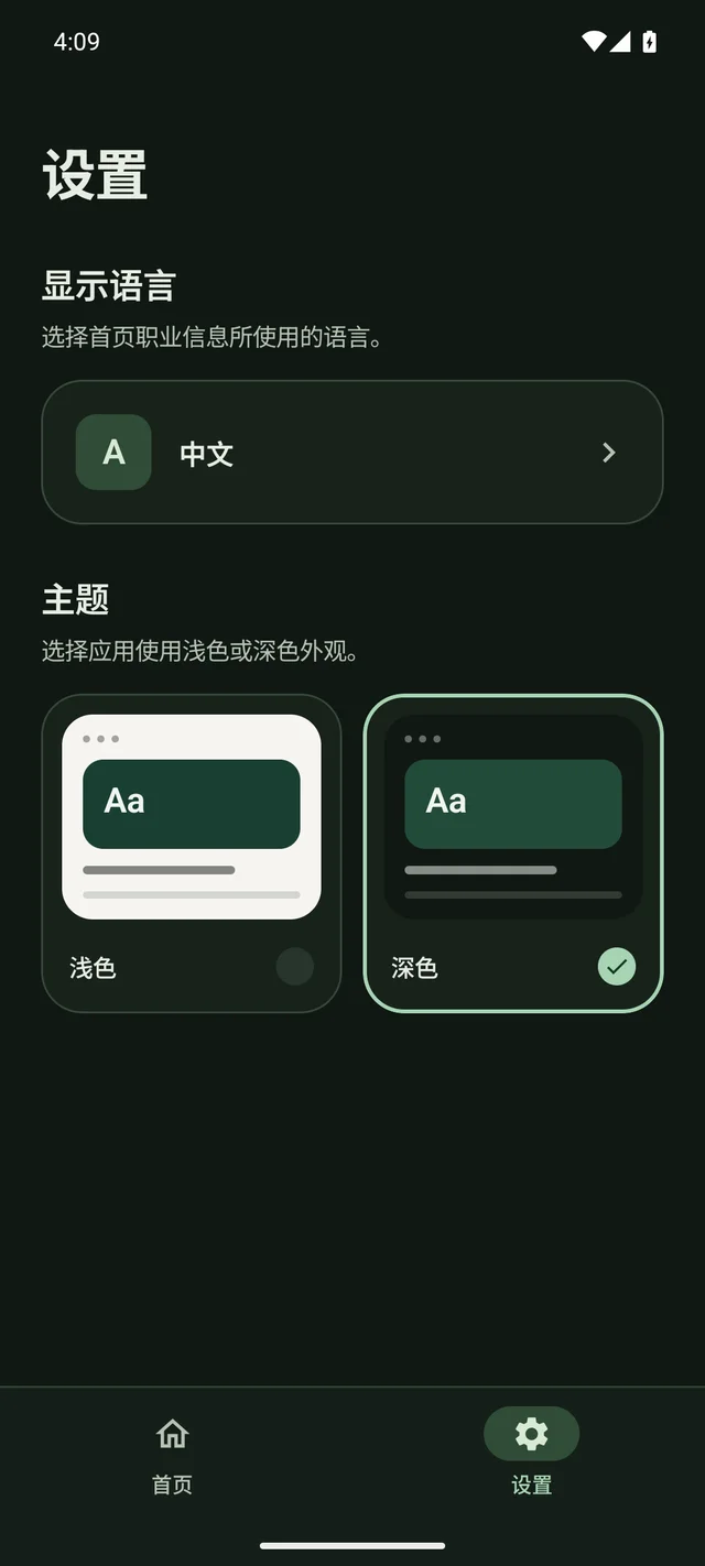 简体中文深色主题的设置界面,展示显示语言选项以及浅色与深色主题卡片。